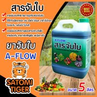 สารจับใบเข้มข้นชนิดพิเศษ A-FLOW ขนาด 5 ลิตร สารกระตุ้นช่วยเปิดปากใบพืช เพิ่มการยึดเกาะของยา ปุ๋ยทางใบ ลดการตึงของผิวใบ