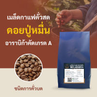 กาแฟคั่วบด ดอยปู่หมื่น เชียงใหม่ เมล็ดกาแฟสายพันธุ์อาราบิก้าแท้ 100% คัดเกรด A เท่านั้นไม่ผสม (มีคั่วอ่อน คั่วกลาง คั่วเข้ม)