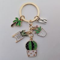 【YF】✹✹  fashion keychain ladies succulent potted shaped golden car gift for friends