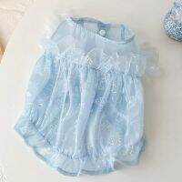 Pet Dog Clothes Blue Flying Sleeve Vest Dress for Dog Clothing Cat Small Bowknot Print Gauze Skirt Summer Thin Girl Fairy Skirts Dresses