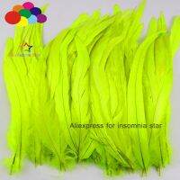 Fashion 100pcs 20-45cm Fluorescent Rooster tail feathers for Decoration Feather wedding Diy cafts Accessories