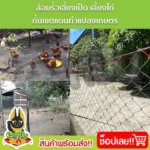 อวนล้อมไก่-ตาข่ายล้อมไก่-ตาข่ายกันนก-ตาข่ายอเนกประสงค์-กรงไก่-ดางล้อมไก่-เลี้ยงไก่-ขนาดตา2-5นิ้ว