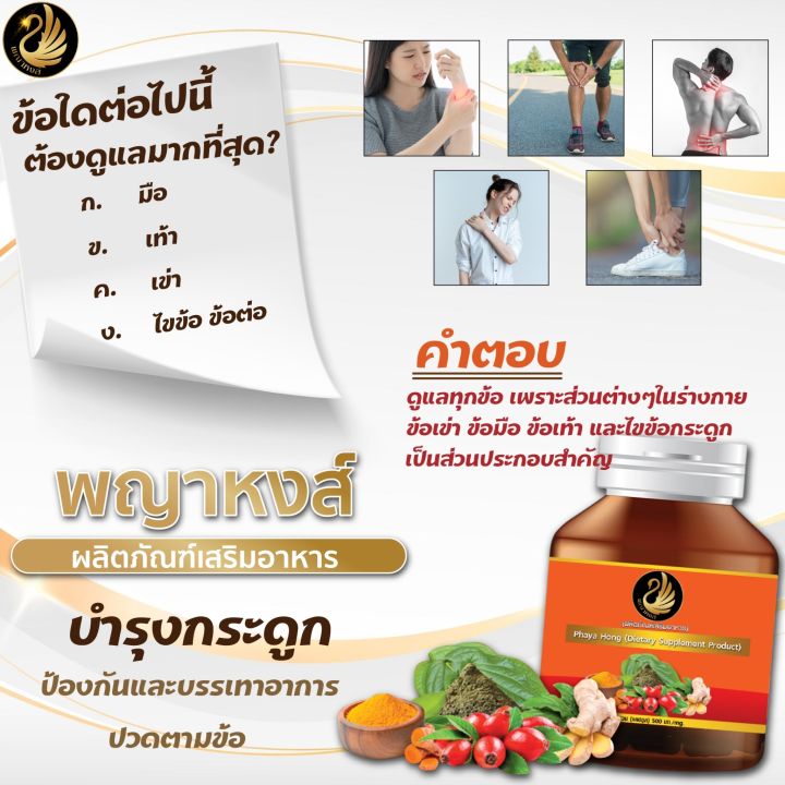 ปวดเข่า-ไขข้อเข่าเสื่อม-ผลิตภัณฑ์เสริมอาหาร-พญาหงส์-รักษาอาการ-ปวดหลัง-เจ็บหลัง