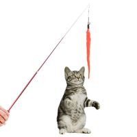 1pcs Pet Cat Toys Cat Teaser Steel Wire Feather Pet Cat Rod Cat Interactive Toys Pet Supplies Toys