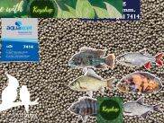 2kg Cám cá CARGILL 7414 size M - 40% đạm cho cá ăn hoặc dùng câu cá, tra