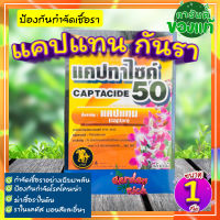 ยากันรา ? แคปแทน 1 กิโล (Captan - Captacide 50) ราในกระบองเพชร ไม้อวบน้ำ แคคตัส บอนสี ไม้ประดับ ยาเพาะเมล็ด ฆ่าเชื้อราในดิน โรคเน่า??