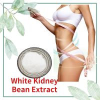 Weight Loss Product White Kidney Bean Extract Phaseolin Powder for Slimming Body