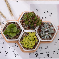 4pcs Hexagon Flowerpots White Ceramic Succulent Plant Pot with Bamboo Stand Small Bonsai Pots Green Planters Home Decor