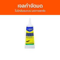 ?แพ็ค2? เจลกำจัดมด Bayer ไม่มีกลิ่นรบกวน มดตายยกรัง Quantum - กําจัดมด ยากําจัดมด กําจัดมดตายยกรัง เหยื่อกำจัดมด ผงกําจัดมด เจลฆ่ามด เจลไล่มด เจลกันมด กำจัดมดยกรัง เหยื่อมด กำจัดมดในบ้าน ยาฆ่ามด ant killer