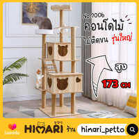 Himari ひまりคอนโดแมว รุ่น CT7006 มาพร้อม ที่ลับเล็บแมว ของเล่นแมว ของเล่นสัตว์เลี้ยง CAT-TOWER พร้อมส่ง!!!