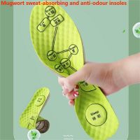 Sports Shoe Insoles for Shoes Men Mugwort Absorbs Sweat Non-slip Lightweight Large Size Shoe Insole Solid Color Shoes Pad