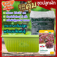 ชุดปลูกผัก  ชุดปลูกผักสวนครัว ชุดปลูกผักสำเร็จ ดินปลูกผัก+เมล็ดพันธุ์ศรแดง+กระถาง ปลูกง่าย ไม่ยุ่งยาก โตไว เลือกชนิดผักได้
