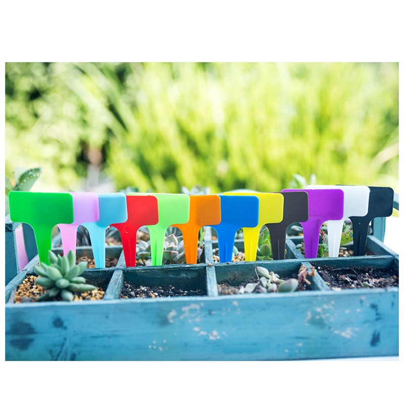 50Pc Plastic Plant Labels Garden Markers T-Type Gardening Name Tags 6 Colors 