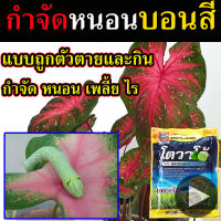 ? ยาบอนสี  สารกำจัดหนอนบอนสี (สูตรเย็น ขนาด 100กรัม) ยาบอนสีอย่างดี สารกำจัดเพลี้ย สารกำจัดเพลี้ยไฟ สารกำจัดหนอนข้าว สารกำจัดหนอนกอ ยาฆ่าหนอนข้าวโพดสารกำจัดหนอนชอนใบ ยาฆ่าหนอนชอนใบ ยาฆ่าหนอนกินใบ ยาฆ่าหนอนแมลง สารกำจัดหนอนแมลง สารกำจัดเพลี้ยแป้ง