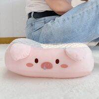 Cold Summer Cute Animal Indoor Cushion Soft Plush Four Seasons General Car Seat Cushion Cartoon Pig Studded Children Game Futon