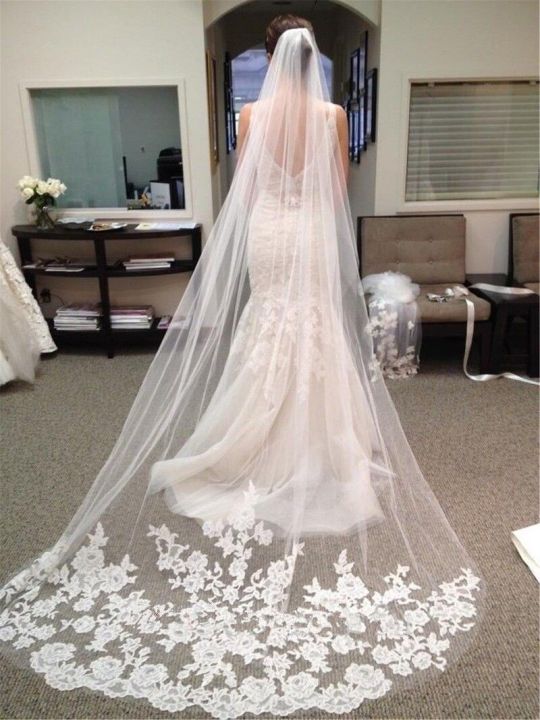 Long wedding discount veils with lace