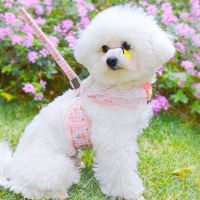 Dog Tow Rope Chain Small Dog Web Celebrity Pet Chest Strap Teddy Pomeranian Puppy Tow Cat Leash Pet Accessories