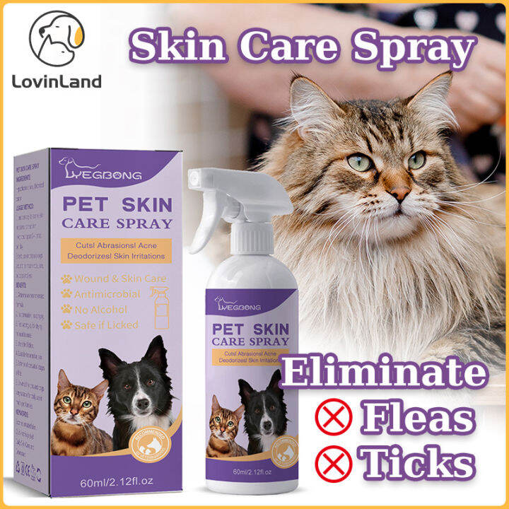 Pet Skin Care Spray Flea Lice Insect Killer Spray For Dog Cat Puppy ...