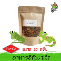 (ขนาดทดลอง) Repcal Juvenile Iguana Food อาหารอีกัวน่าเด็ก แรปแคล มีส่วนผสมของผลไม้ ขนาดทดลอง 50 กรัม [RC18]