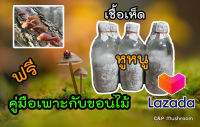 *** พร้อมจัดส่ง *** เชื้อเห็ดหูหนู ฟรีคู่มือเพาะกับขอนไม้ มีหลายตัวเลือก