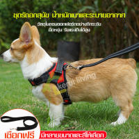 สายรัดอกสุนัข สายจูงสัตว์เลี้ยง Pet leash สายจูงสุนัข สายรัดอก สายจูงแมว สายจูงสัตว์เลี้ยง อุปกรณ์สัตว์เลี้ยง เชือกจูงสุนัข เชือกรัดอก