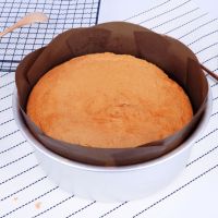 tr1 Shop Household Goods Kitchen Baking Tools Anti-stick Release Mold Release Cake Mat