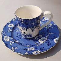 Ceramic Kitchen Cups Aesthetic Funny Portable Coffee Cup Saucer Blue And White Porcelain Designer Tazzine Caffe Chinese Tea Set