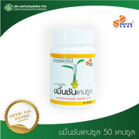 ขมิ้นชันแคปซูล PHYTO CARE (50 แคปซุล/ขวด)