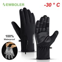 100 Waterproof Winter Cycling Gloves Windproof Outdoor Sport Ski Gloves For Bike Bicycle Scooter Motorcycle Warm Glove