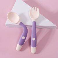 2PCS Silicone Spoon Fork Set for Baby Utensils Auxiliary Food Toddler Learn To Eat Training Bendable Soft Fork Infant Tableware Bowl Fork Spoon Sets