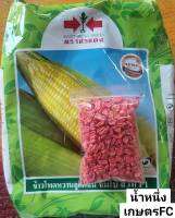 เมล็ดพันธุ์ ข้าวโพด ข้าวโพดหวาน?หมดอายุ 11/09/2566? จัมโบสวีท?แบ่งขาย??บรรจุ 1ขีด/550-600เมล็ด