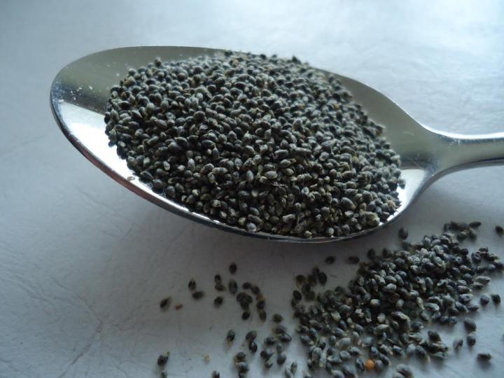 10-เมล็ด-เมล็ดบัว-สีน้ำเงิน-นำเข้า-บัวนอก-สายพันธุ์ของแท้-100-เมล็ดบัว-ดอกบัว-ปลูกบัว-เม็ดบัว-ปลูกในโหลแก้วได้-อัตรางอก-85-90-waterlily-nymphaea-seeds