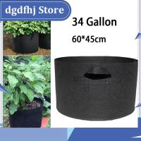 Dgdfhj Shop 34 Gallon Hand Held Plant Grow Bags Fruit Plants Thicken Plant Growing Large Capacity Fabric Pot Growth Home Garden