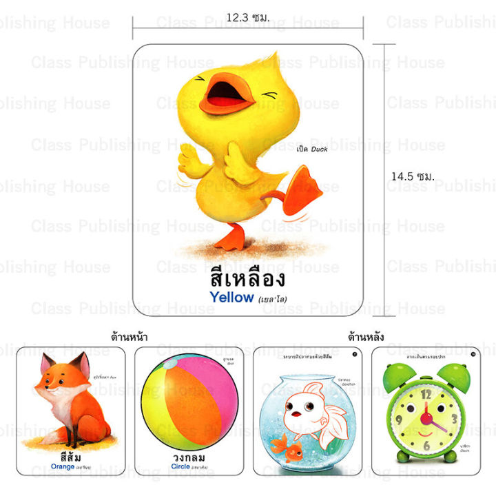 ห้องเรียน-flash-card-บัตรคำศัพท์ประกอบภาพสีและรูปร่าง-บรรจุบัตรภาพ-32-ใบ-สอนคำศัพท์ภาษาไทย-อังกฤษ