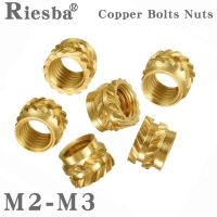 Heat Set Insert Nuts Embed Parts Female Thread Brass Knurled Inserts Nut Pressed Fit into Holes for 3D Printing M2 M2.5M3 100Pcs