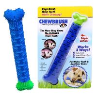 พร้อมส่ง--+สุด ที่ขัดสุนัข ยางขัดฟันสุนัข รูปกระดูก Chew Brush รุ่น Chew-Brush-Dog-05e-J1 ลดราคาถูกสุด ของเล่น ของเล่นแมว ของเล่นแมวโต แมวเด็ก ของเล่นสัตว์เลี้ยง กรง ลัง เป้ อุปกรณ์สัตว์เลี้ยง อาหาร
