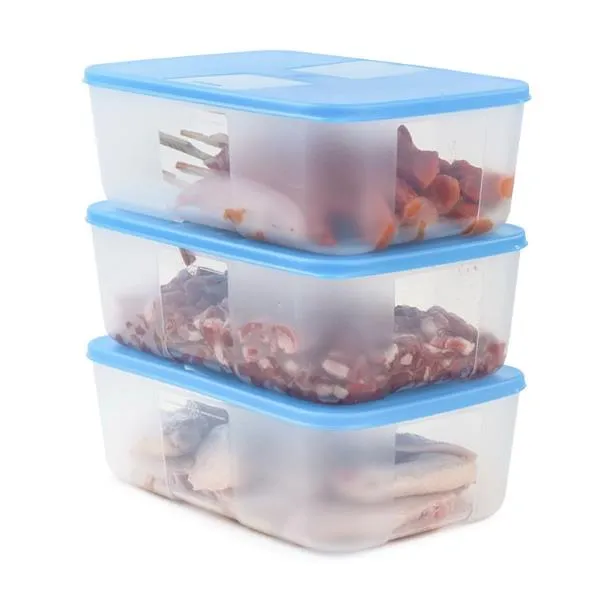 ◘☊ Tupperware freezing preservation box 1.7 L refrigerator ice fresh frozen fish and shrimp and a transparent plastic | Lazada PH