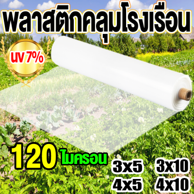 พลาสติกคลุมโรงเรือน โรงเรือน พลาสติกโรงเรือน ขนาด 3x5 4x5 3x10 4x10 5x7 5x10 6x10 6x15 พลาสติกใสโรงเรือน PE พลาสติกโรเรือน พลาสติกใสคลุม กันสาด ปูบ่อ Green House พาสติกโรงเรือน สีใส โรงเรือนแคคตัส คลุมหลังคา พลาสติกใสกันฝน พลาสติกโรงเรือน โรงเรือน