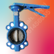 TOZEN Butterfly Valve 2