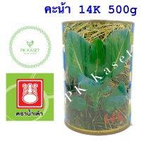 เมล็ดคะน้า 14K ตราน้ำเต้า กระป๋อง ขนาด 500g