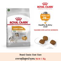 นาทีทอง ส่งฟรี Royal Canin Coat Care อาหารสุนัขแบบเม็ด สูตร บำรุงขน ขนาด 1Kg