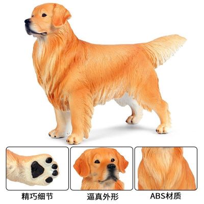 Children solid large static model simulation model of animal pet golden retriever dog toys furnishing articles boy gift