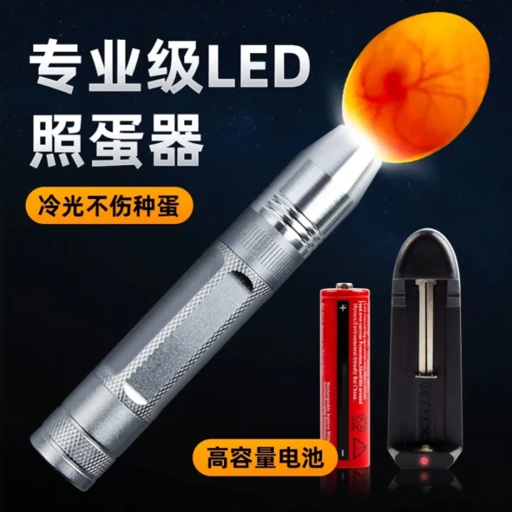 Rutin chicken according to special flashlight lamp professional