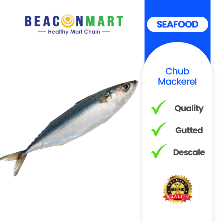 [Beacon Mart] Whole Fish Sabah Wild Caught Chub Mackerel Sabah Liar