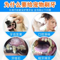 แปรงสีฟัน ยาสีฟัน ทําความสะอาดฟัน สําหรับสัตว์เลี้ยง สุนัข แมว 22.4.8