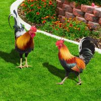 Stereoscopic Courtyard Rooster Acrylic Mirror Lawn Insert Signs Chicken Sculptures And Figurines Yard Garden Outdoor Decoration
