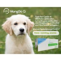 Monggo Q 10-Packed Vet Rapid Test anaplasma heartworm erlichia Polymer canies ชุดทดสอบการป้องกันโรคสุนัข, chwymehr