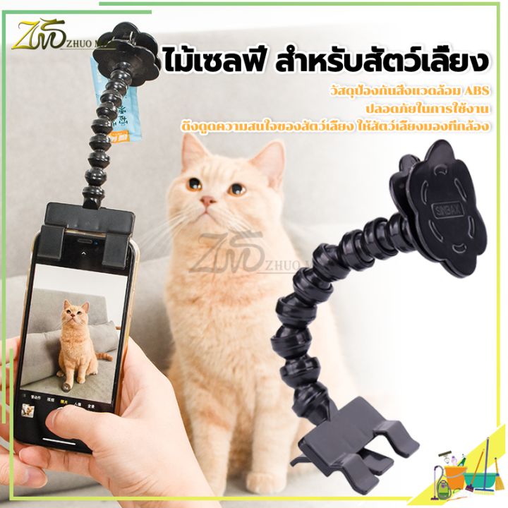 ไม้เซลฟี่-สำหรับสัตว์เลี้ยง-นวัตกรรมสำหรับการถ่ายรูปสัตว์เลี้ยง-ที่จะได้ภาพมุมคิ้วท์ๆ-ของน้องๆ-ด้วยตัวคุณเอง-ของเล่นแมว