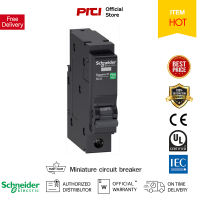 Schneider QO-VSC6T 1P 6kA Miniature circuit breaker เซอร์กิตเบรกเกอร์ลูกย่อย