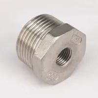 1 BSP Male to 1/4 BSP Female 304 Stainless Steel Reducer Reducing Bush adapter Fitting